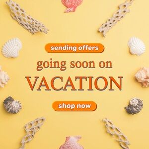 Going soon on Vacation: SENDING offers !